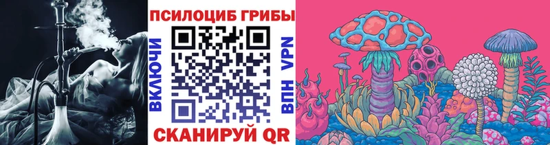 Псилоцибиновые грибы GOLDEN TEACHER  Гудермес 