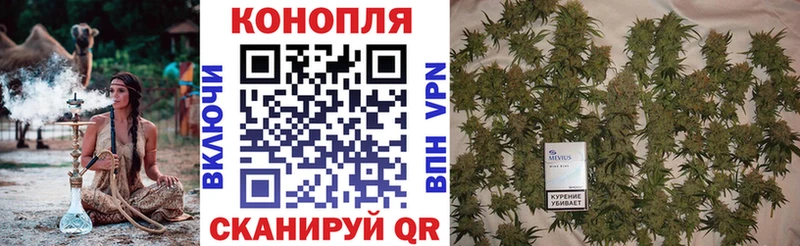 Конопля VHQ  Гудермес 